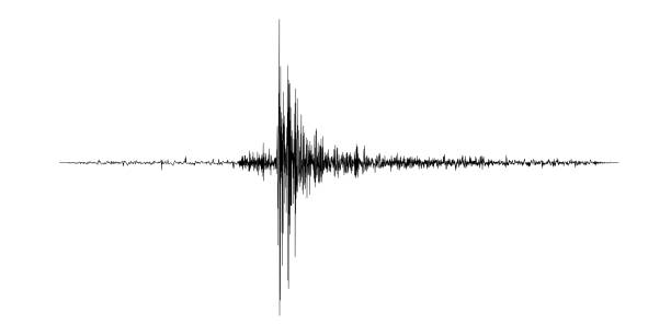 Black seismogram Seismogram of the earthquake. Seismic activity record. Vector illustration. earthquake stock illustrations