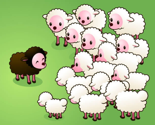 Best Herd Of Sheep Illustrations, Royalty-Free Vector Graphics & Clip ...
