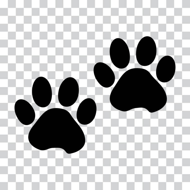 Black silhouette animal paw track isolated on transparent background. Vector illustration Black silhouette animal paw track isolated on transparent background. Vector illustration year of the dog stock illustrations