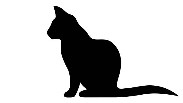 Black silhouette of a cat on a white background vector art illustration