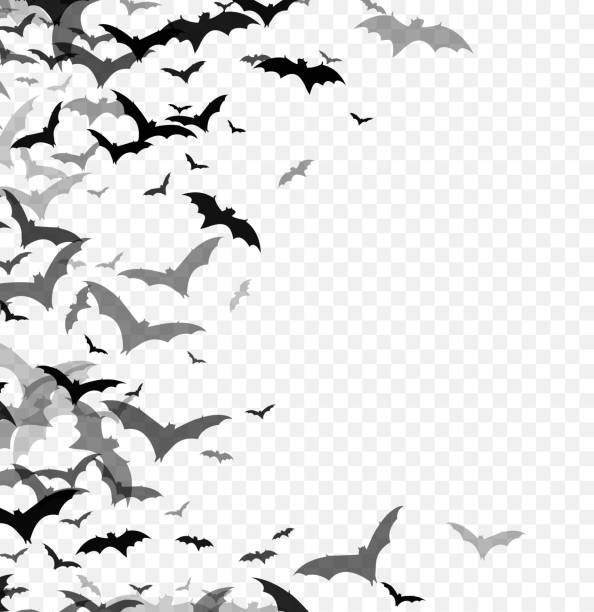Black silhouette of bats isolated on transparent background. Halloween traditional design element. Vector illustration Black silhouette of bats isolated on transparent background. Halloween traditional design element. Vector illustration EPS10 halloween background stock illustrations