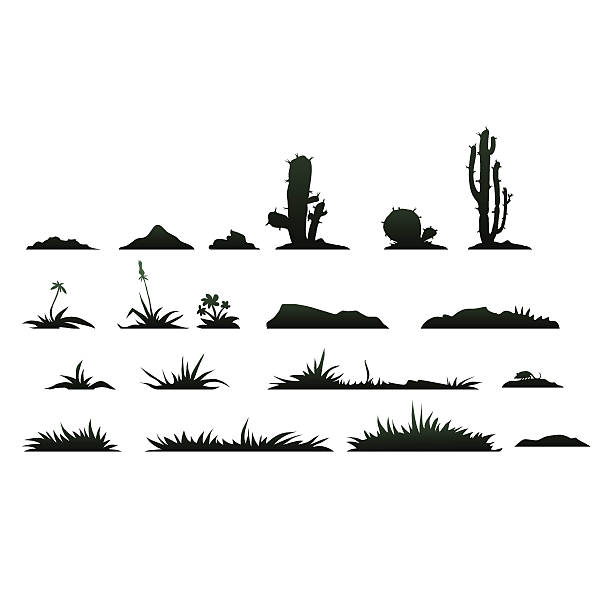 Black silhouettes of cactus on a white background Set of black silhouettes of cactus and succulents plants on a white background desert area silhouettes stock illustrations