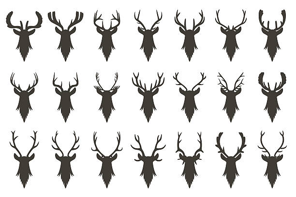 bildbanksillustrationer, clip art samt tecknat material och ikoner med black silhouettes of deer head with antlers - deer dead