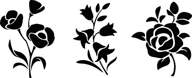 Black silhouettes of flowers. Vector illustration. Three vector black silhouettes of flowers isolated on a white background. flower silhouettes stock illustrations