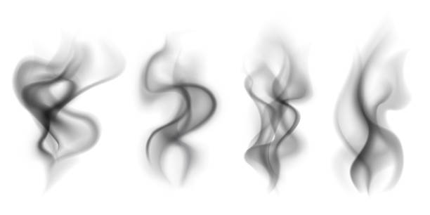 Black smoke. Transparent smoking clouds hot food steam cigarette tea coffee smoke steaming texture isolated on white vector set Black smoke. Transparent smoking clouds hot food steam cigarette tea coffee smoke steaming texture isolated on white vector set steam stock illustrations