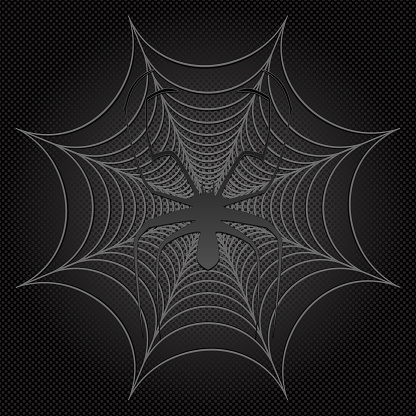 black spider and web, cobweb