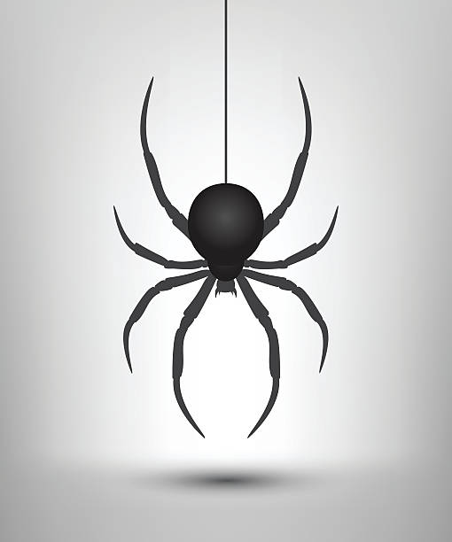https www brusheezy com brushes 2396 spiders brushes