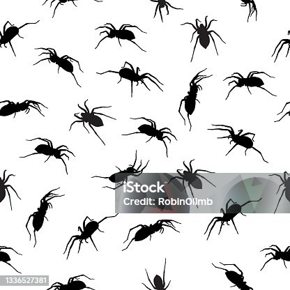 istock Black Spiders Seamless Pattern 1336527381