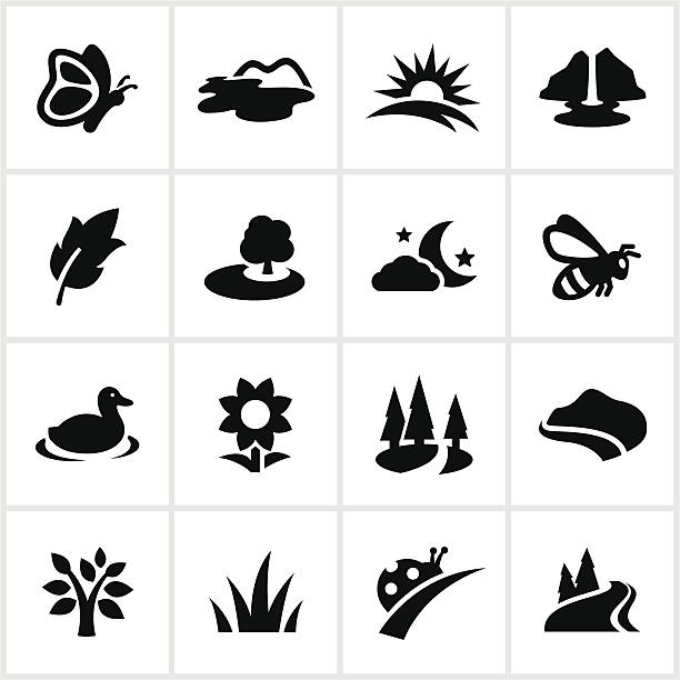 Black Summertime Icons Summer related icons. All white strokes/shapes are cut from the icons and merged allowing the background to show through. river icons stock illustrations