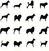 Illustration of dog species icons.