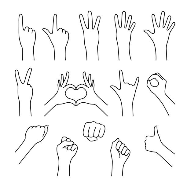 black thin line set of hands gesture black thin line set of hands gesture. flat stroke cartoon modern simple linear grip graphic art design isolated on white. concept of female okey or rock gesturing or four, five or three showing multiple arms stock illustrations