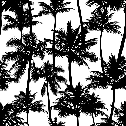 Black vector palm trees on white background.