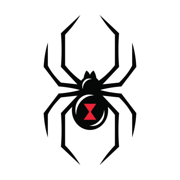 Black widow spider icon vector art illustration