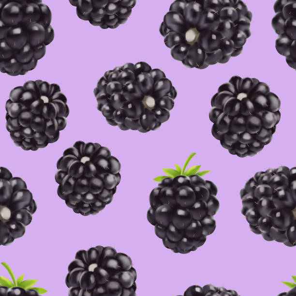 Blackberry seamless pattern. 3d realistic vector berries. Blackberry seamless pattern. 3d realistic vector berries. Food background. blackberry fruit stock illustrations