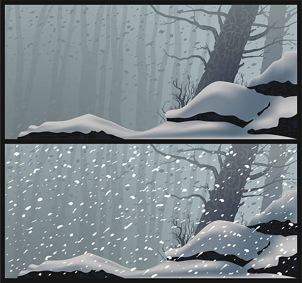 Blizzard vector art illustration