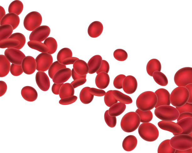Blood cells File format is EPS10.0.  blood cancer stock illustrations
