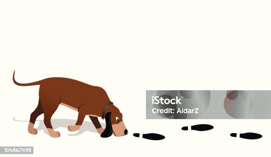 istock Bloodhound searching 104867498