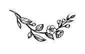 istock Blooming cherry branch. 1340217803