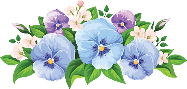 Blue and purple pansy flowers. Vector illustration.