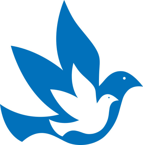 파란색과 흰색 비둘기 아이콘 - 동물 두 마리 stock illustrations
