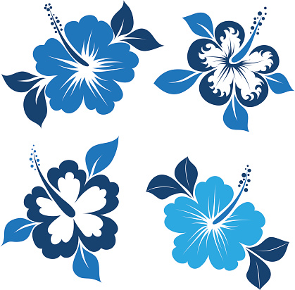 Blue and white themed illustrated hibiscuses