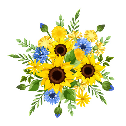 Blue and yellow flowers. Bouquet of sunflowers, cornflowers, and dandelions. Vector illustration