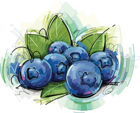 blue berries sketch