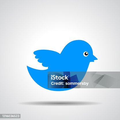 istock blue bird icon on a grey background 1316036523