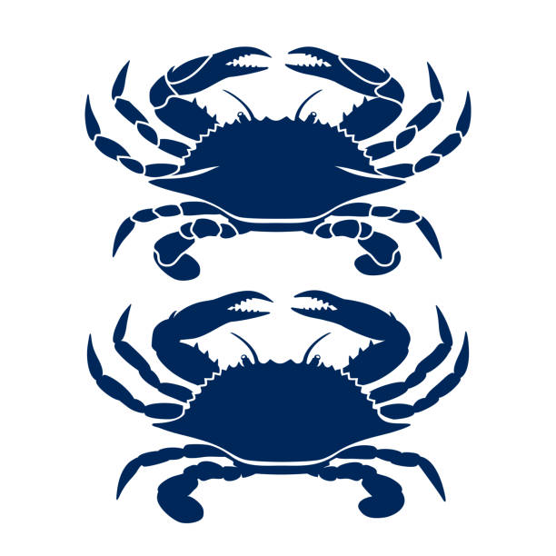 Blue crab drawing Blue Crab on white background. Clean, modern vector logo design, symbol or icon in simple flat style. Silhouette of crab. Vector illustration. blue crab stock illustrations