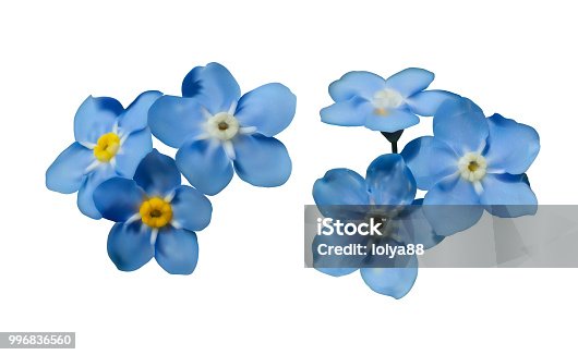 istock Blue forget me not spring flowers. Decorative elements vector set 996836560