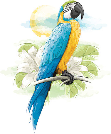 Blue Macaw Parrot Perched on Branch