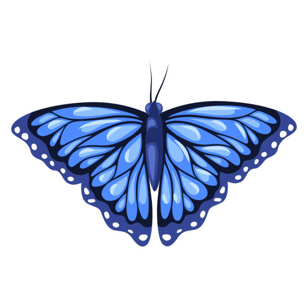 Best Pink And Blue Butterfly Clip Art Illustrations, Royalty-Free ...