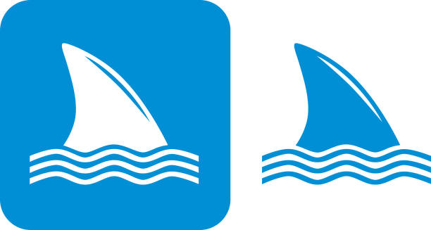 Blue Shark Fin Icons Vector illustration of two shark fin icons. animal fin stock illustrations