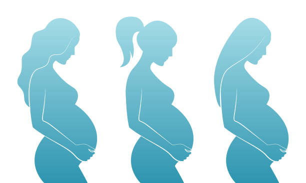 stockillustraties, clipart, cartoons en iconen met blauw silhouet van zwangere vrouwen met verschillende kapsels: steil haar, krullend haar, paardenstaart. - pregnant