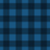 Blue tartan striped colourful textile seamless pattern