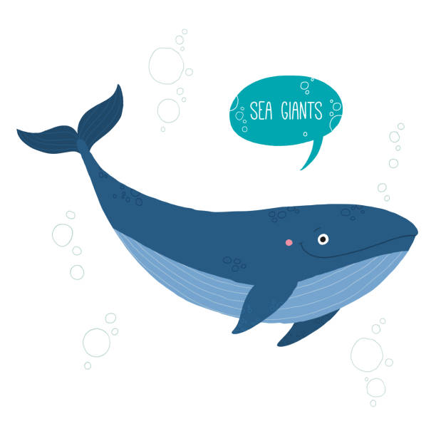 Whale Vector Art Graphics Freevector Com