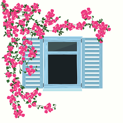 Blue wooden window with beautiful  flowers