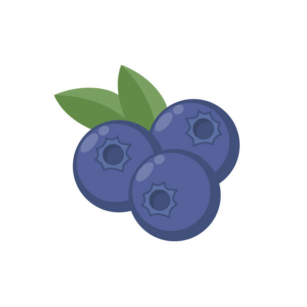 Blueberries with leaf vector icon. Blueberry icon clipart. Blueberry cartoon. vector art illustration