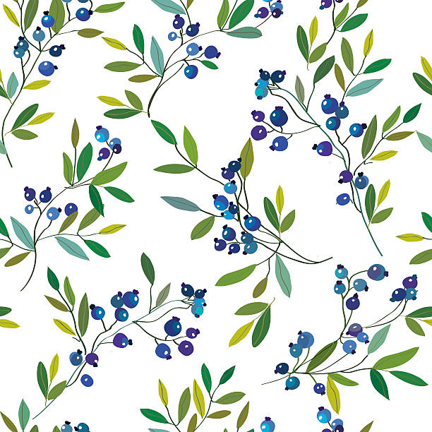 Blueberry seamless graphic pattern. vector art illustration