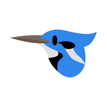 bluejay flat vector icon illustration