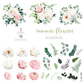 Blush pink rose and sage greenery, ivory peony, hydrangea, ranunculus flowers, eucalyptus big vector collection. Floral pastel watercolor style wedding bouquets. All elements are isolated and editable