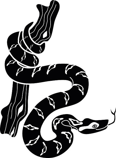 Best Black Snake  Illustrations Royalty Free Vector  Best Black Snake  Illustrations Royalty Free Vector