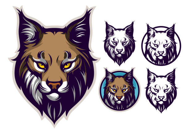 Bobcat head emblem Bobcat or lynx head vector illustration. lynx stock illustrations