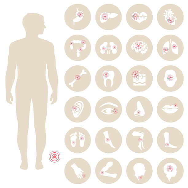 body pain vector human anatomy, body pain, medical illustration  pain silhouettes stock illustrations
