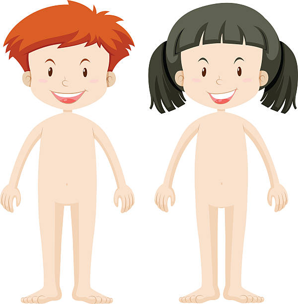 тела части мальчик и девочка, - background of nude male body stock illustra...