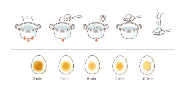 boiling eggs  soft-boiled egg stock illustrations