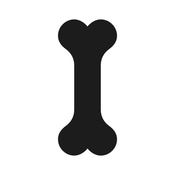 knochen-symbol vektor symbol isoliert. vektor-illustration. - knochen stock-grafiken, -clipart, -cartoons und -symbole