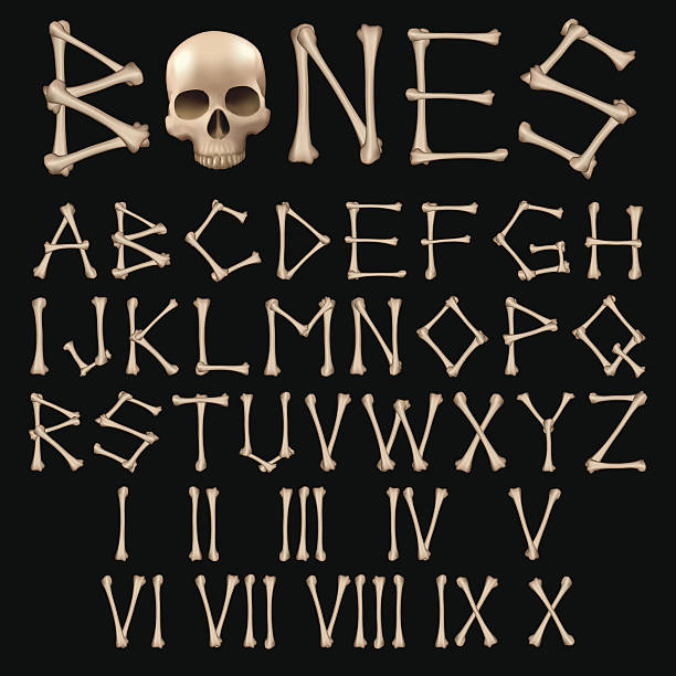 Bones Alphabet vector Bones Alphabet vector alphabet clipart stock illustrations