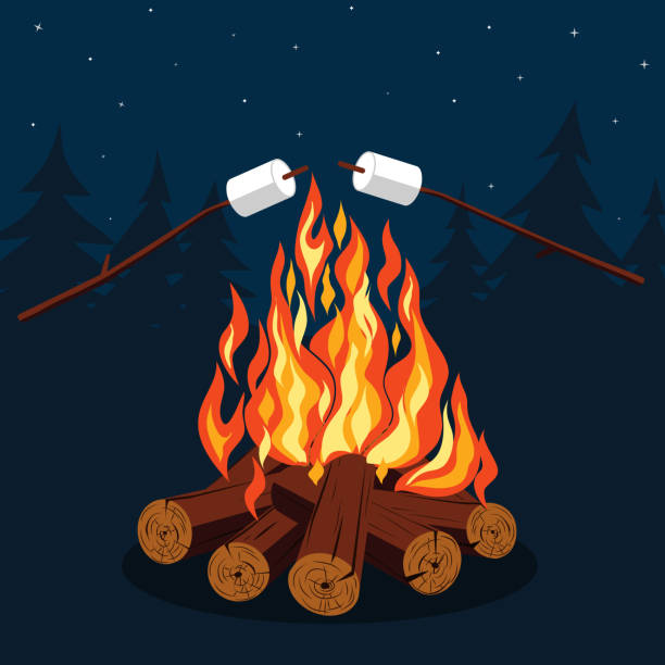 Bonfire with marshmallow vector art illustration