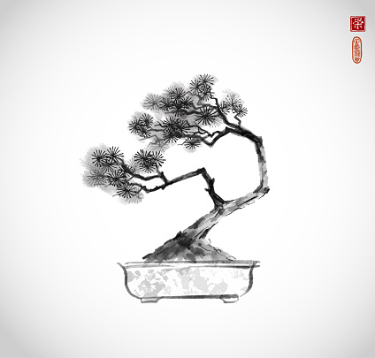 Bonsai pine tree hand drawn with ink on white background. Traditional oriental ink painting sumi-e, u-sin, go-hua. Hieroglyph - prosperity